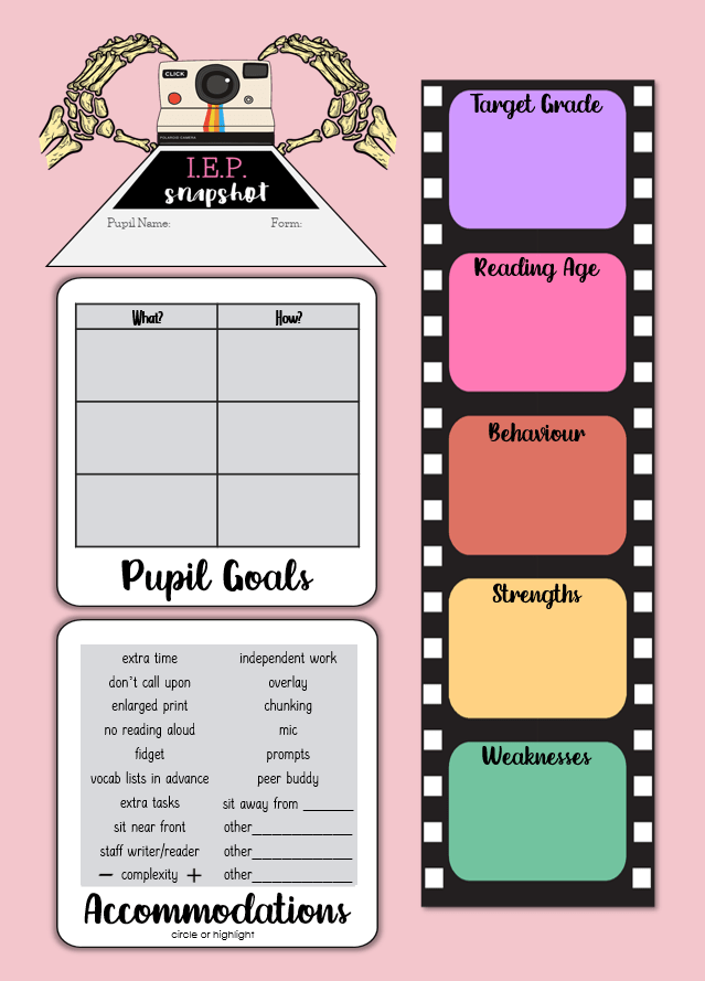 An image showing the Wildflower and Bone Teacher Planner IEP snapshot page.